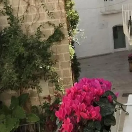 Penzion Casa Dei Fiori Primula - Centro Storico